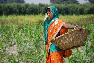 Farmer woman