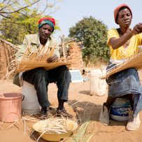 FAO and socialprotection.org are Hosting a Webinar