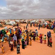 FAO and UNICEF Host International Conference on Social Protection, Fragility and Forced Displacement