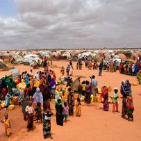 FAO and UNICEF Host International Conference on Social Protection, Fragility and Forced Displacement